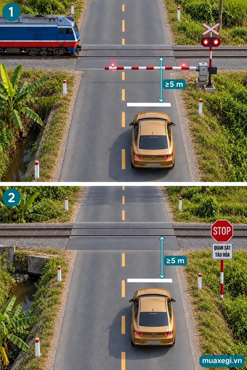 AI illustration of a gated and an ungated railway crossing, with cars before stop lines and arrows marking at least 5 m from each line to the nearest rail.